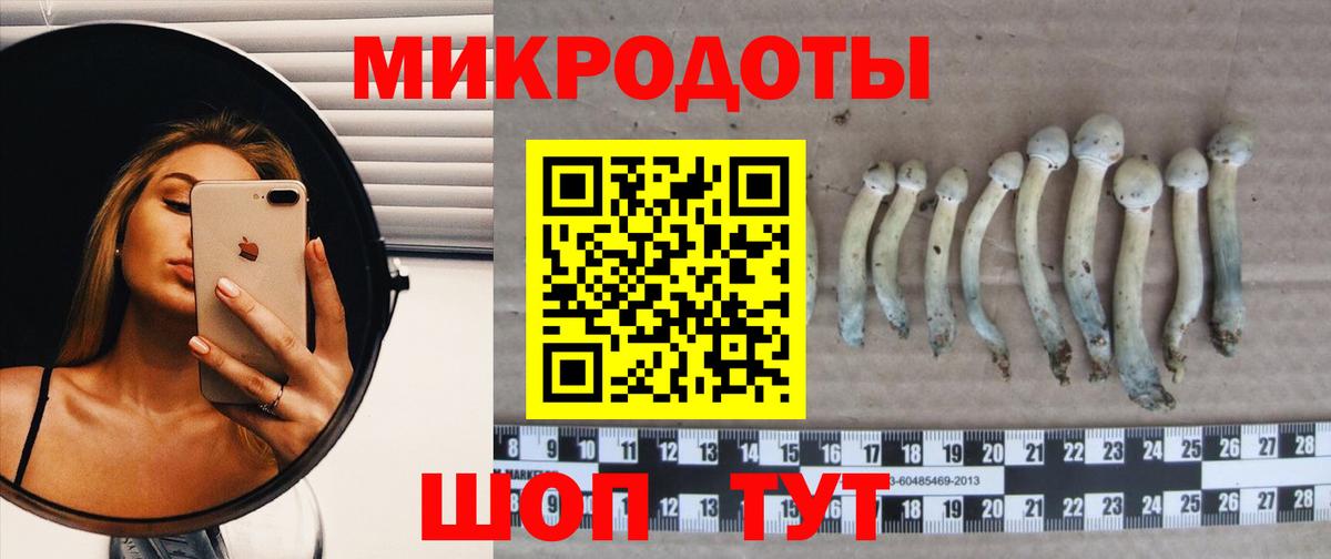 Новозыбков  Галлюциногенные грибы Psilocybine cubensis  Вход с VPN 